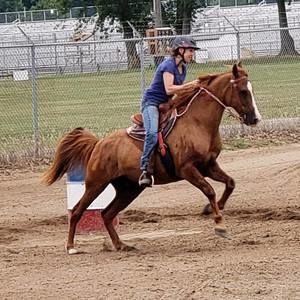 Meet your Posher, Lisa